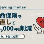 economizing_life_insurance_akichanne_nt