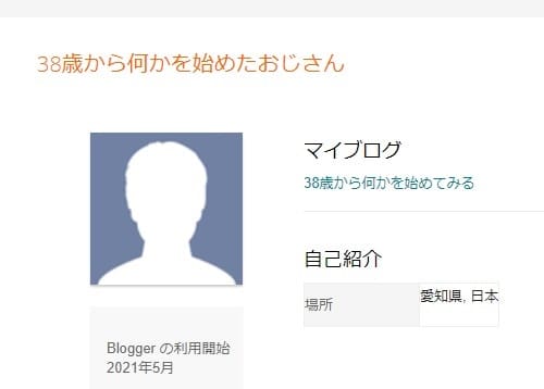 blogger-profile