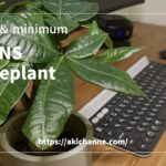 3coins_houseplant