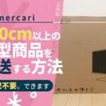 mercari_knowhow_large_luggage_160cm